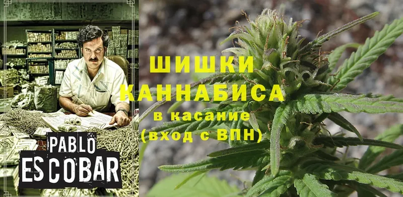 Каннабис White Widow  omg ССЫЛКА  Луга 